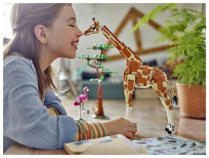 Tiersafari 