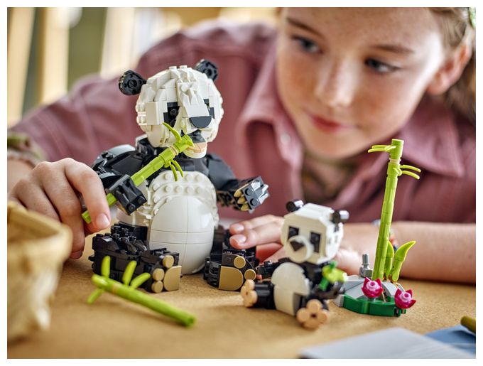 Wilde Tiere: Pandafamilie 
