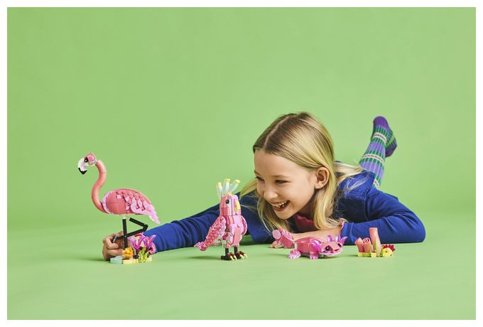 Wilde Tiere: Rosa Flamingo 