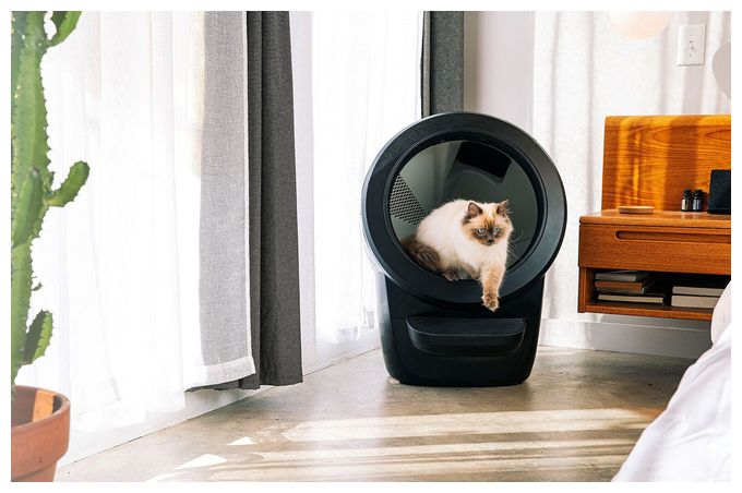 Litter Robot 4 