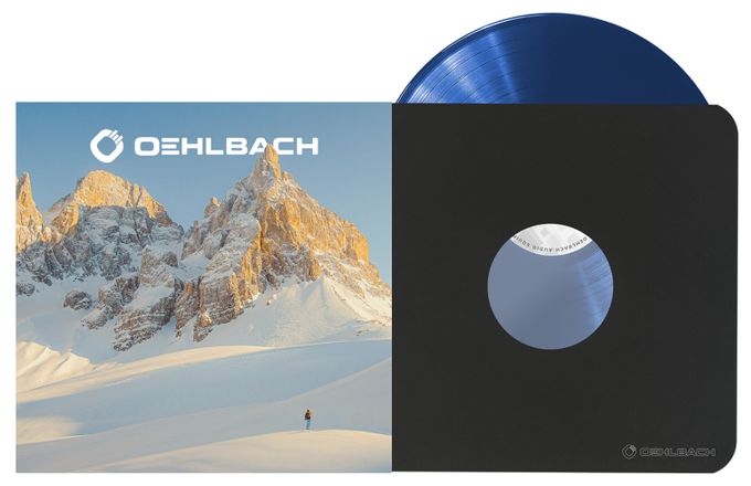 D1C2617 Vinyl Protect Hüllen 25Stk 