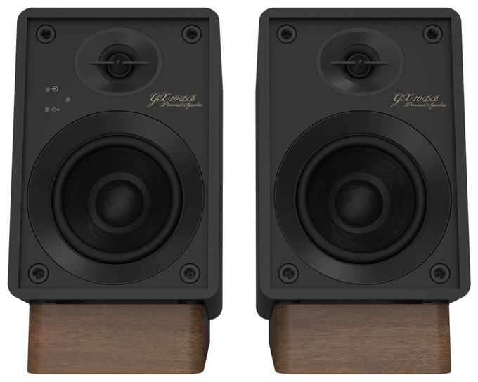30 W Bluetooth Lautsprecher  GX-10DB (Schwarz) 