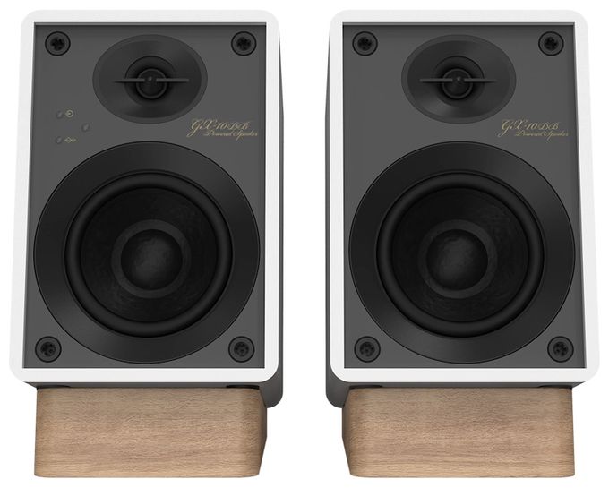 30 W Bluetooth Lautsprecher  GX-10DB (Grau, Weiß) 