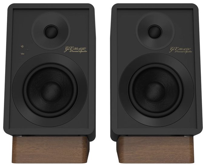 50 W Bluetooth Lautsprecher  GX-30ARC (Schwarz) 