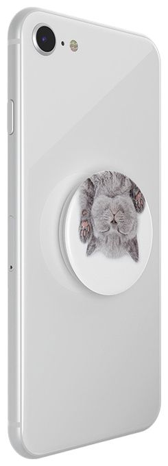 PG Katzenschläfchen 