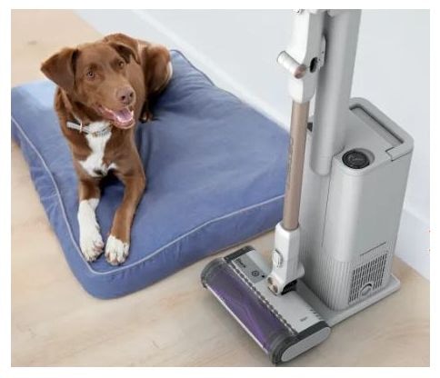 Handstaubsauger Beutellos bis 60 min Laufzeit  IW3612EUT Detect Clean & Empty (Weiß) 