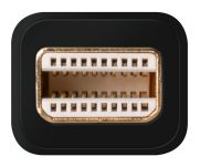 CN-345 Mini DisplayPort to VGA Adapter 