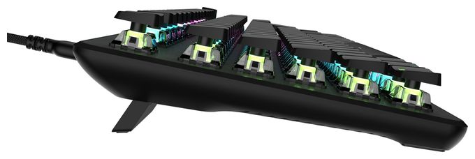 RGB-LED Gaming Tastatur USB  Vulcan II TKL RGB Tenkeyless (Schwarz) 