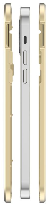 Cover für Apple iPhone 14  360° Glass (Gold, Transparent) 
