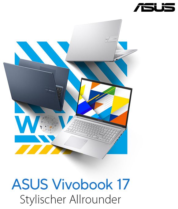 Full HD Notebook 43,9 cm (17.3 Zoll) 1920 x 1080 Pixel 1 TB SSD Windows 11 Home Intel Core 7 max. 5,4 GHz  Vivobook 17 X1704VA-AU918W (Silber) 