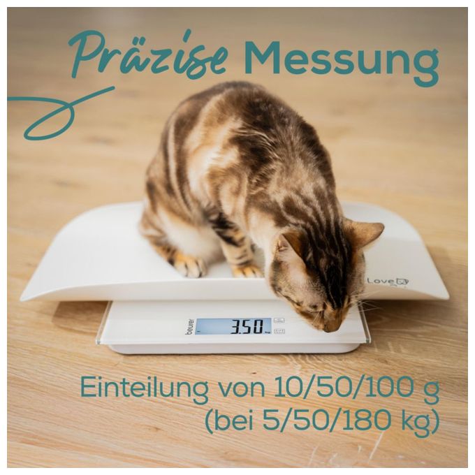 PP 170 Polly 