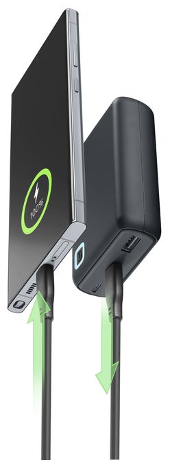 10000 mAh Powerbank USB Typ-C  Essence Turbo (Grau) 