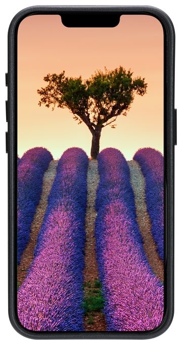 Cover für Apple iPhone 17e/16e  Roskilde (Schwarz) 