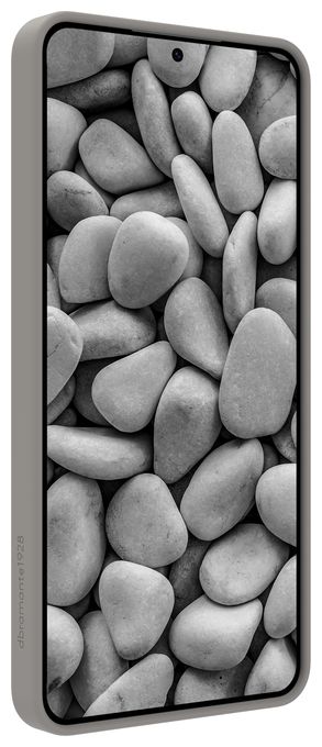 Cover für Samsung Galaxy S26+  Roskilde MAG Kick ICON (Grau) 