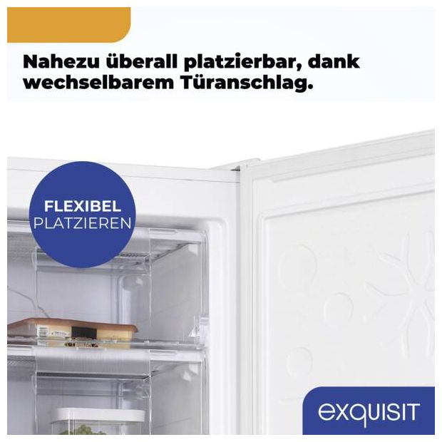 177 l Gefrierschrank 123 kWh Jahr  GS230-H-050C (Weiß) 