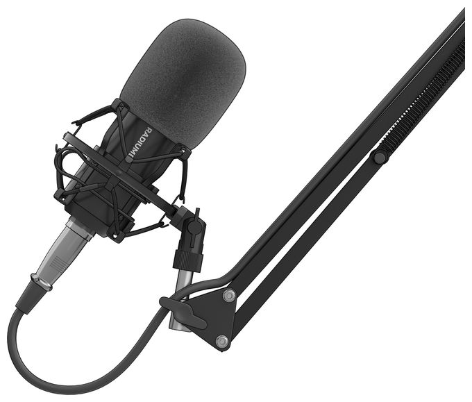 Kabelgebunden Studio-Mikrofon  Radium 300 XLR (Schwarz) 