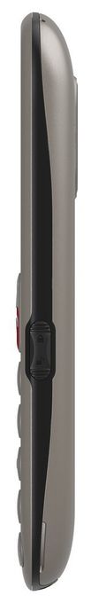 2G Smartphone 5,59 cm (2.2 Zoll) 0,3 MP Single SIM (Titanium silver) GL395 