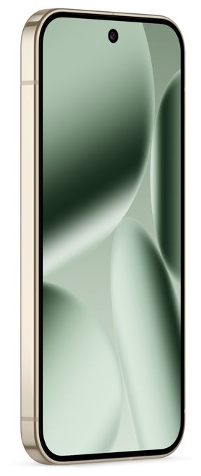 256 GB 5G Smartphone 16 cm (6.3 Zoll) Android 50 MP Dreifach Kamera Dual Sim WiFi 7  Pixel 10 Pro (Grün) 