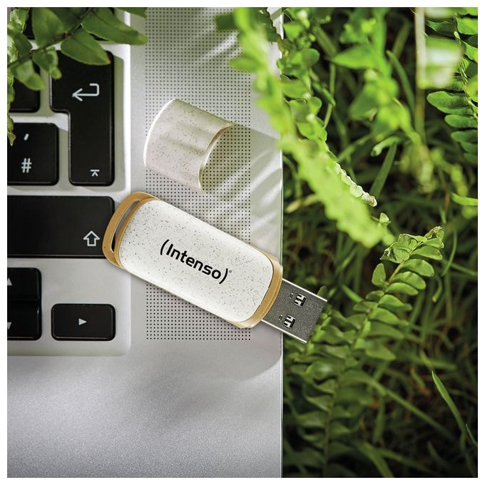 USB Typ-A Stick 32 GB  Green Line (Beige, Braun) 