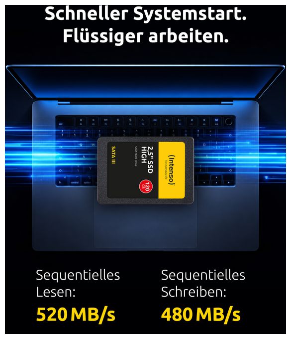 120 GB SSD Serial ATA III 2.5"  Performance (Schwarz) 