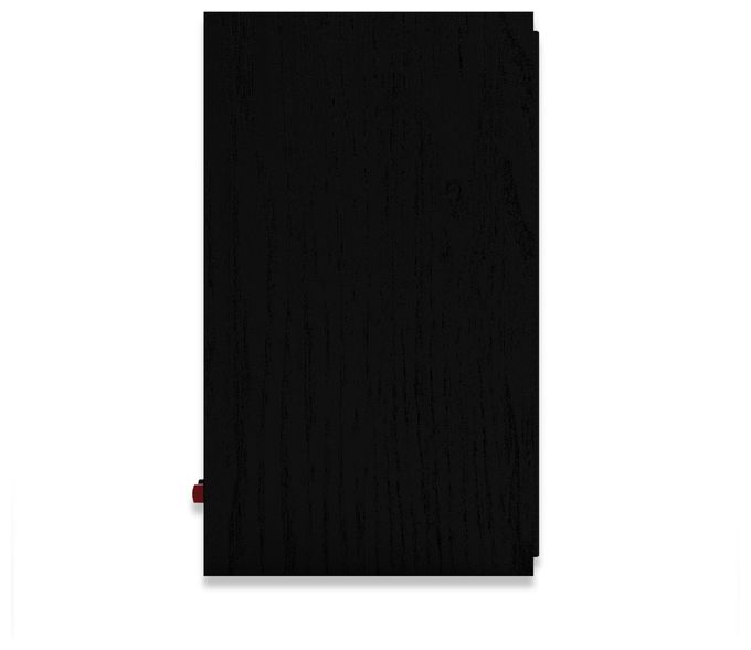 300 W 2-Wege Lautsprecher  R-50M (Schwarz) 