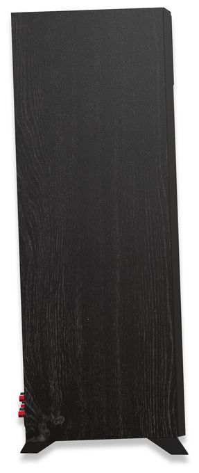 100 W 2-Wege Lautsprecher  RP-5000F II (Schwarz) 