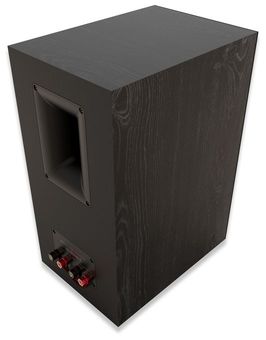 100 W 2-Wege Lautsprecher  RP-600M II (Schwarz) 