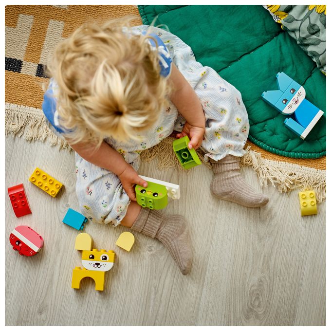 3-in-1 Kreative Tiere 