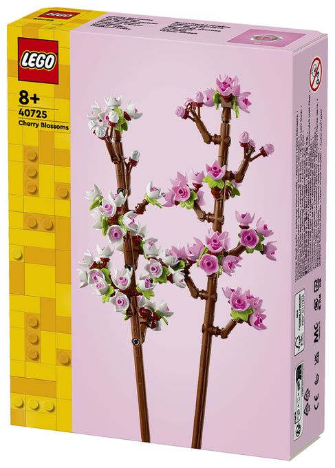 Kirschblüten 