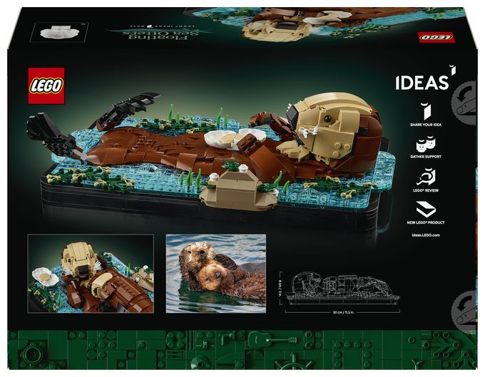Schwimmende Otter 
