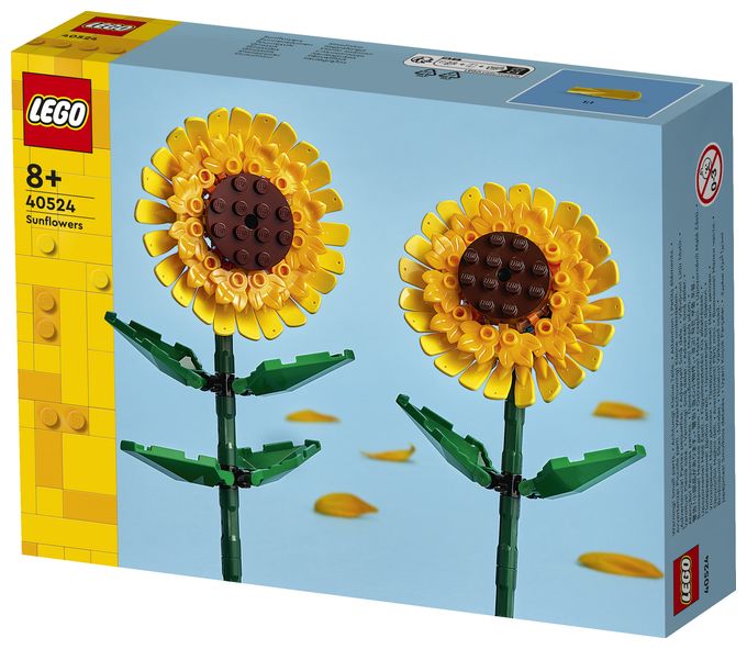 Sonnenblumen 
