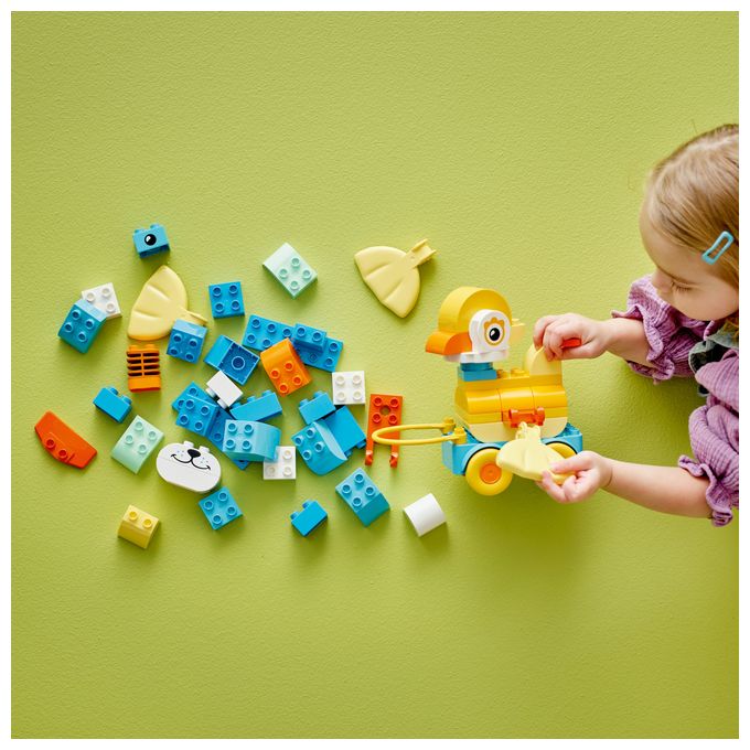Tiere auf Rädern 3-in-1-Set 