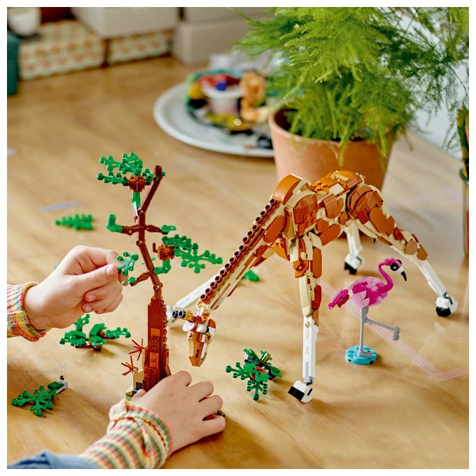 Tiersafari 