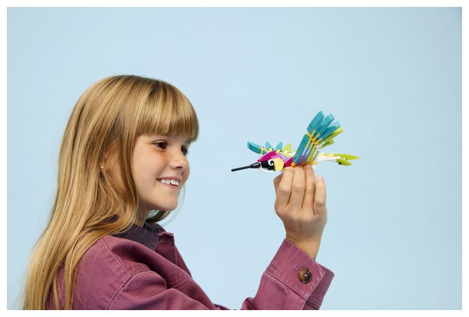 Wilde Tiere: Bunter Kolibri 