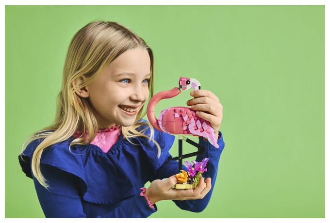 Wilde Tiere: Rosa Flamingo 