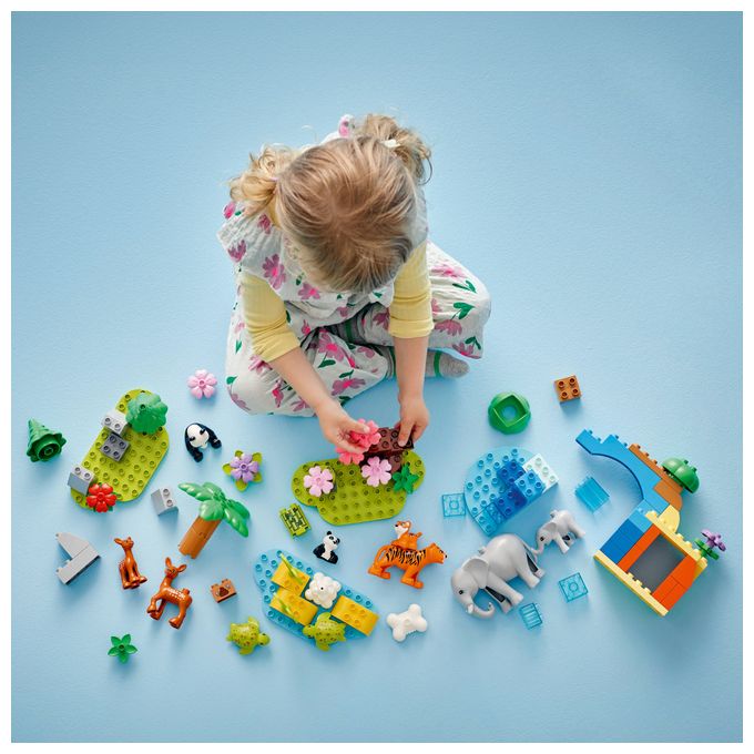 Wildtier-Familien 3-in-1-Set 