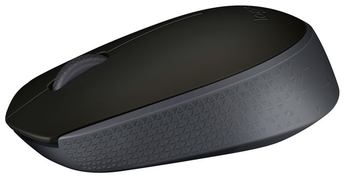 1000 DPI Büro Maus Optisch  M171 (Schwarz, Grau) 