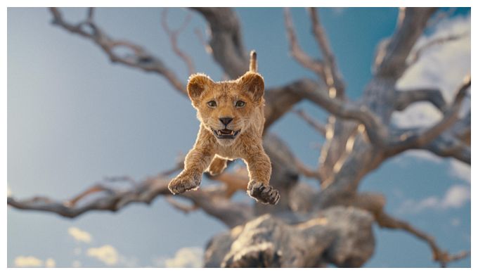 Mufasa: Der König der Löwen (DVD) 