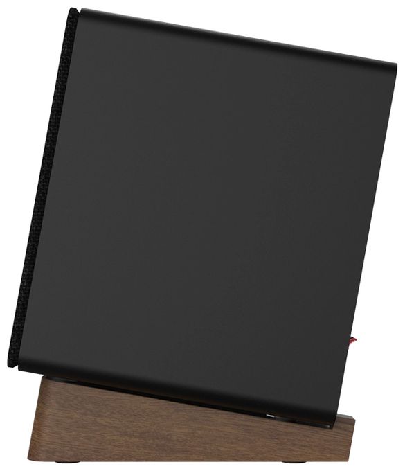 30 W Bluetooth Lautsprecher  GX-10DB (Schwarz) 