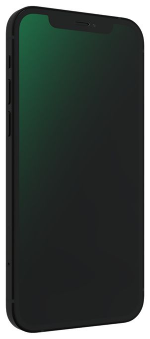 iPhone 12 Mini Schwarz 64GB 