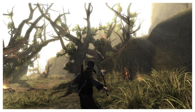 Risen (Nintendo Switch) 