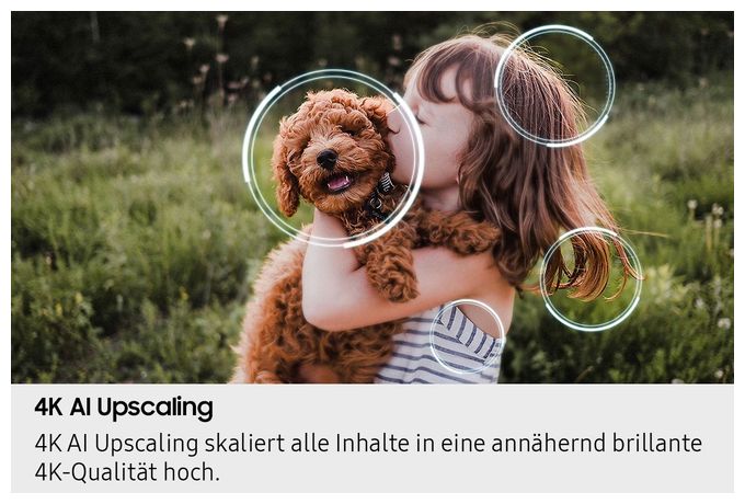 QLED 127 cm (50 Zoll) Fernseher 4K Ultra HD VESA 200 x 200 mm  GQ50QN80FAU (Karbon, Silber) 