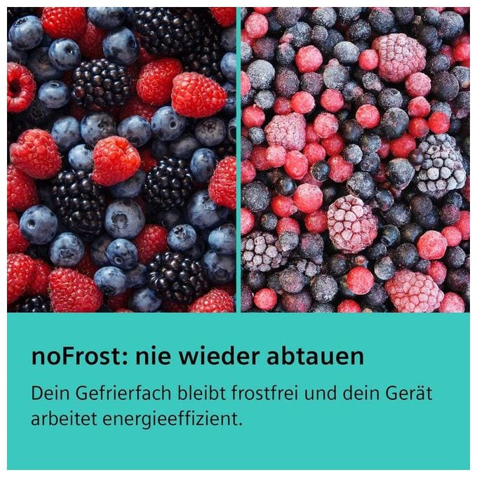 Side-by-Side Kühl-/ Gefrierkombination 309 l / 242 l NoFrost  iQ500 KA95FPIEP Europäischer (Edelstahl) 
