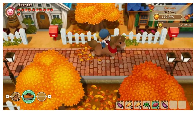 Story of Seasons: Friends of Mineral Town (PlayStation 4) 