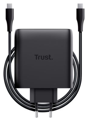 Maxo USB-C-GaN-Ladegerät 100 W mit 2 Anschlüssen 