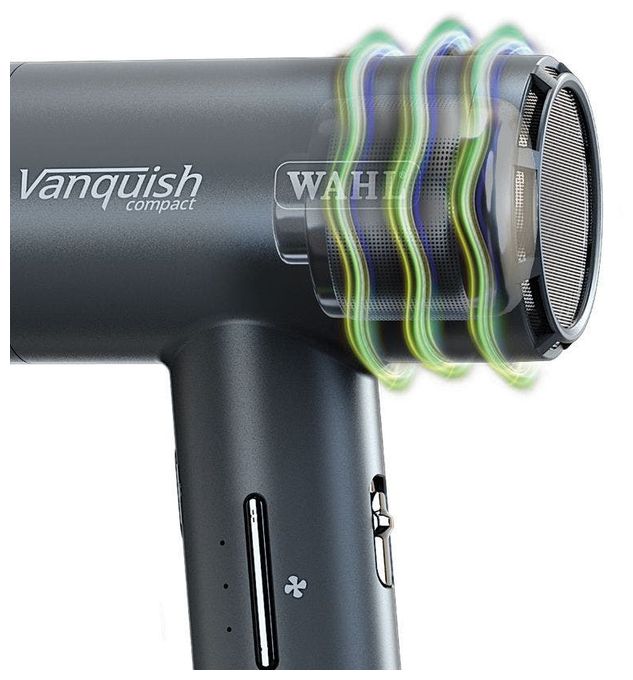 Haartrockner  Vanquish Compact (Grau) 
