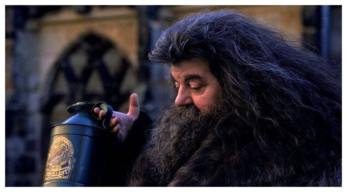 Wizarding World 11-Film Collection (Blu-Ray) 