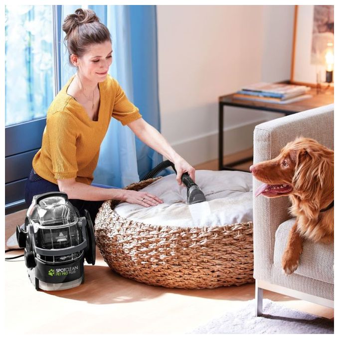 Naß-/Trockensauger bis 2,2 l Schmutzwasser 37252 SpotClean Pet Pro Plus 