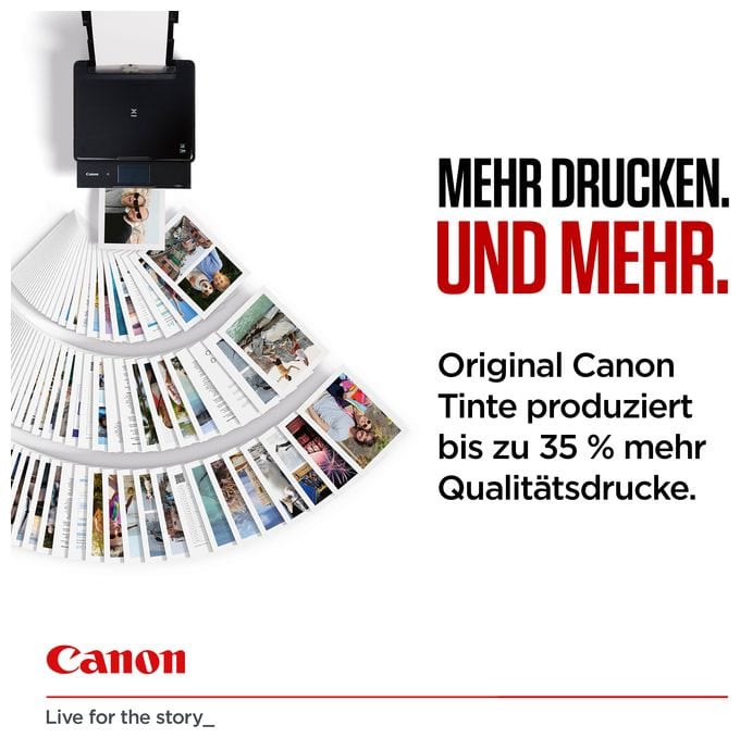 originale Druckerpatronen Schwarz, Foto schwarz 400 Seiten PGI-530PGBK 