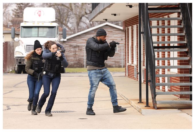 Chicago P.D. - Staffel 11 (DVD) 